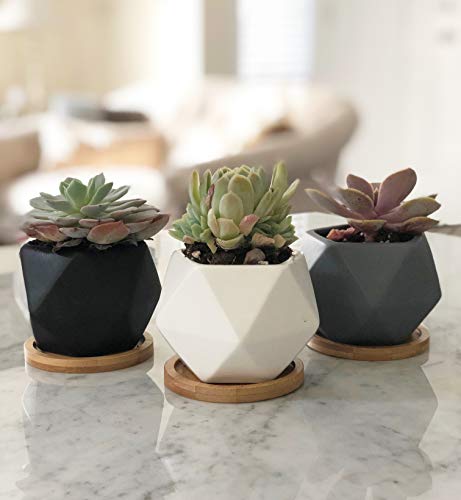 Chez JuJu Modern Geometric Ceramic Succulent Pots 3 Planters with Drainage Bamboo Tray 3 Pack - Image 1