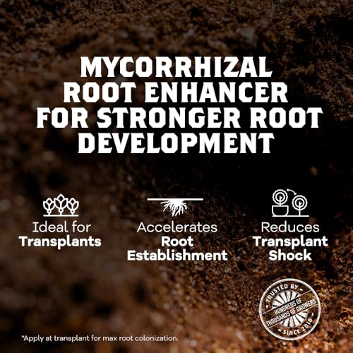 DYNOMYCO Granular Mycorrhizal Fungi Inoculant, 200g / 7oz – Boosts Root Growth, Yields & Nutrient Uptake – 900 Propagules/g, Concentrated Granules, & OMRI Listed – Biofertilizer for Plant Growth - Image 5
