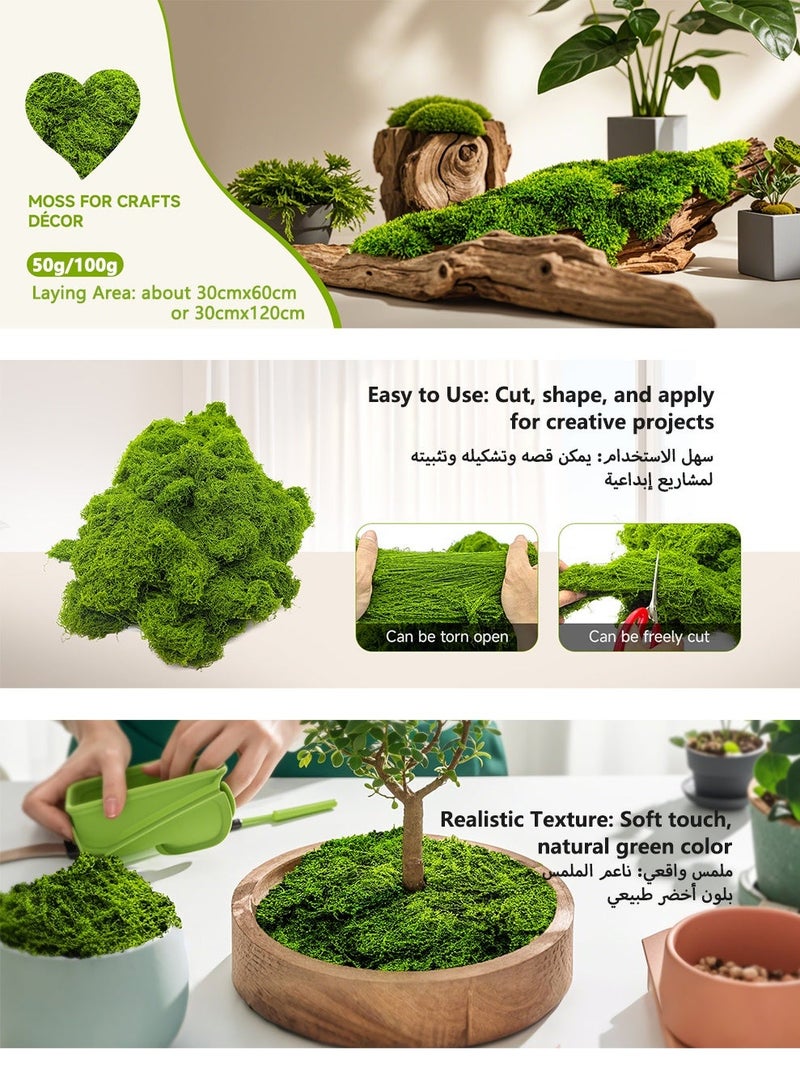 Artificial Moss for DIY Crafts & Home Decor – Realistic Fake Green Moss for Potted Plant Decoration, Floral Arrangements & Creative Projects (100g) - Image 4