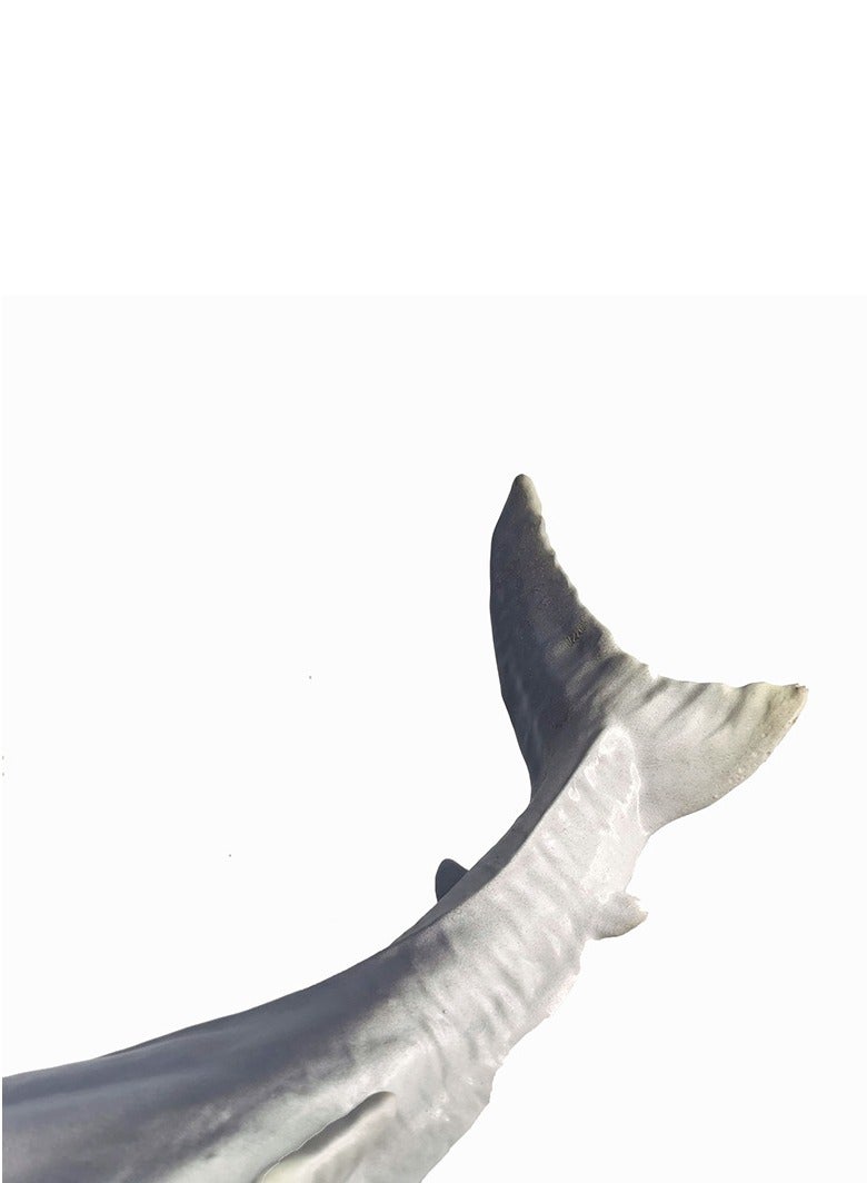 general Simulation of marine animal model hand-made medium shark children's science and education toy static solid soft rubber model ornaments - Image 3