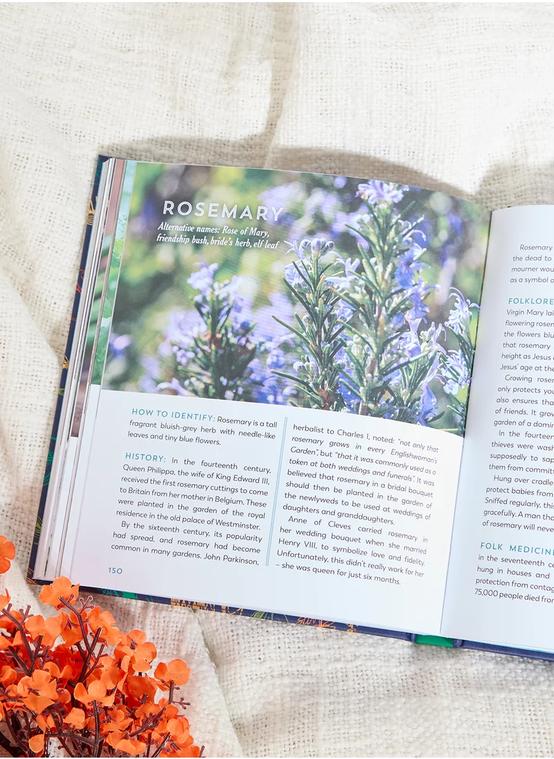 سمرز ديل كتاب The Herbal Apothecary