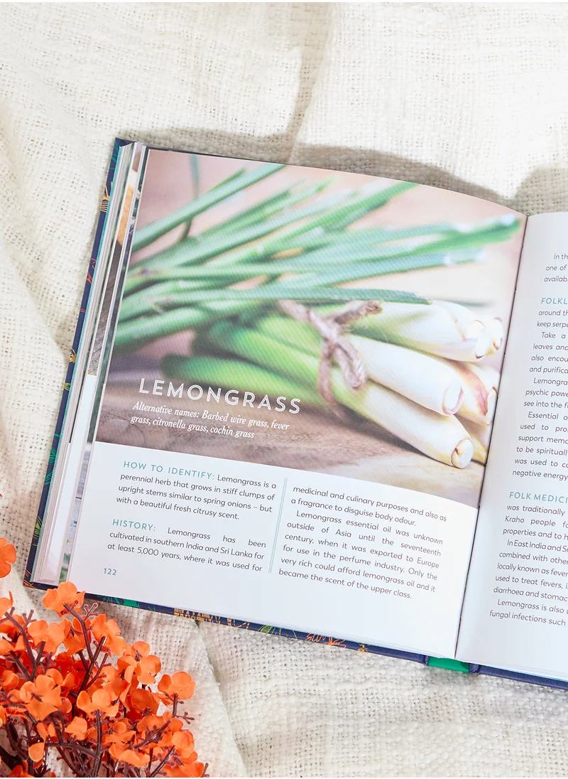 سمرز ديل كتاب The Herbal Apothecary