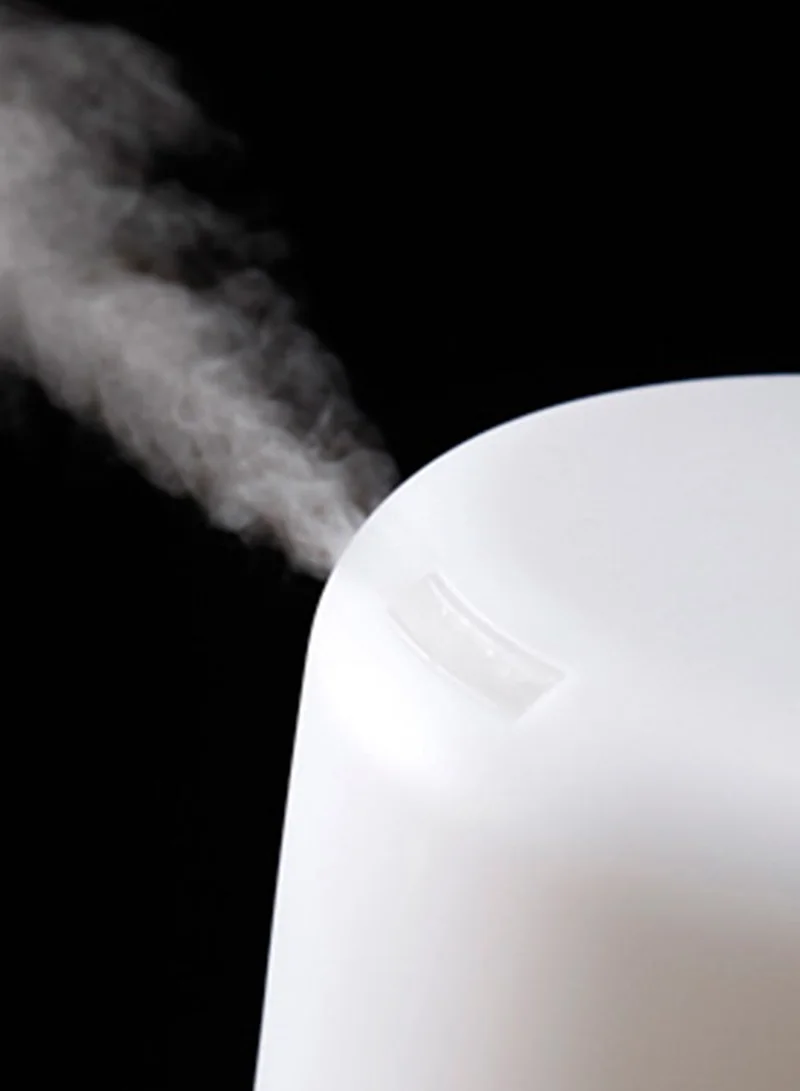 MUJI Large Aroma Diffuser