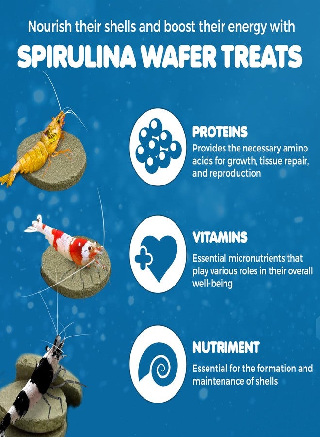 SunGrow Spirulina Protein Food, Wafer for Shrimp, Hermit Crab, Pleco, Cory, Catfish, Crayfish, Snails, Bottom Feeder, Treat for Chinchilla & Guinea Pig - Image 3