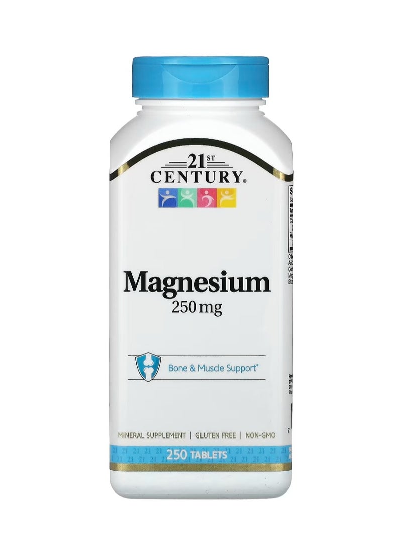 21st Century Magnesium 250 Mg 250 Tablets - Image 1