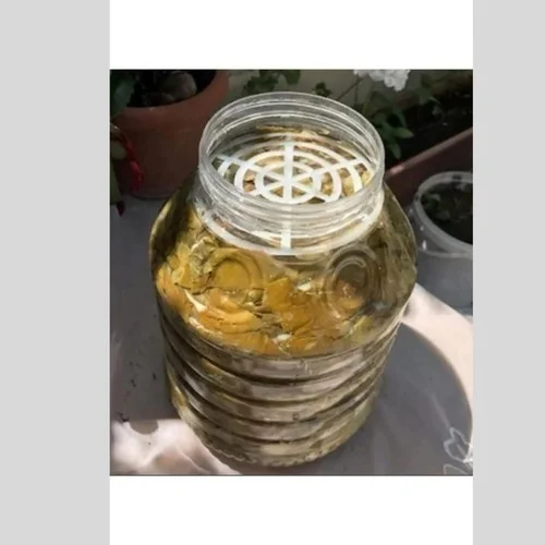 Favori Mutfak Favori Kitchen Jerrycan Pet Jar Separator 10 Pieces Pickle Olive Cheese Separator