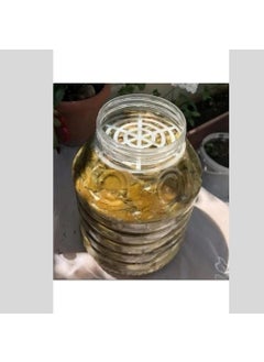 Favori Mutfak Favori Kitchen Jerrycan Pet Jar Separator 10 Pieces Pickle Olive Cheese Separator  - Image 4