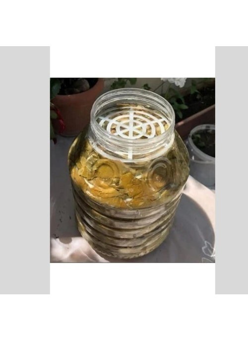 Favori Mutfak Favori Kitchen Jerrycan Pet Jar Separator 10 Pieces Pickle Olive Cheese Separator  - Image 4