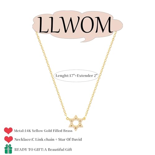 LLWOM Dainty Gold Necklace-14K Gold Plated CZ Star Of David Necklace for Women Simple Jewelry Everyday for Women - Image 5