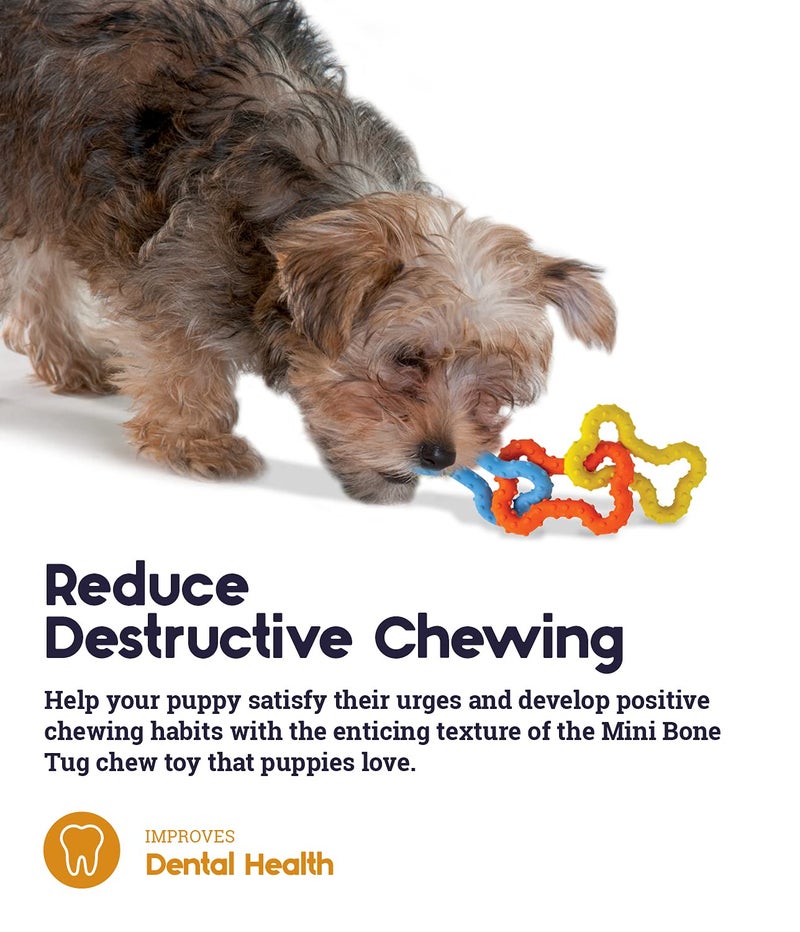 Petstages Mini Bone Tug Puppy Chew Toy - Image 5