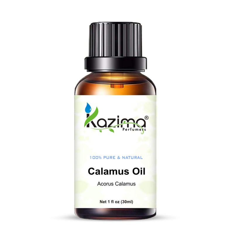 KAZIMA Calamus Essential Oil - 100% Pure, Natural & Undiluted for Skin Care & Hair Care, 30 ml - Image 3