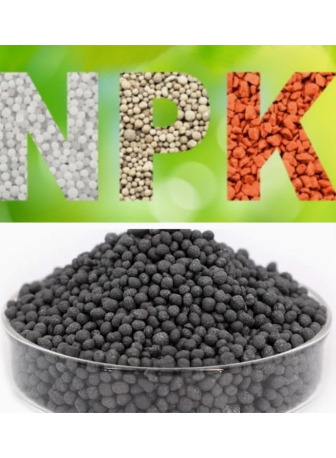 Premium NPK 10 10 10 Slow Release/All Purpose Granular Garden Fertilizer for Fruit Trees, Evergreens, Vegetables, Arborvitae, Fig Trees, Shrubs, Pines, Oaks, Flowers 500gr - Image 1