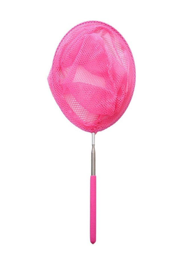 Home Style Home & Style 3 Pack Extendable Bug and Butterfly Catching Net - Perfect for Catching Bugs, Insects, Small Fish - Image 2