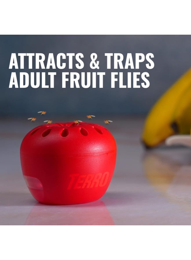 Terro فخ ذبابة الفاكهة تيررو 4 فخاخ + 180 يوم من إمدادات الطعم - Image 2