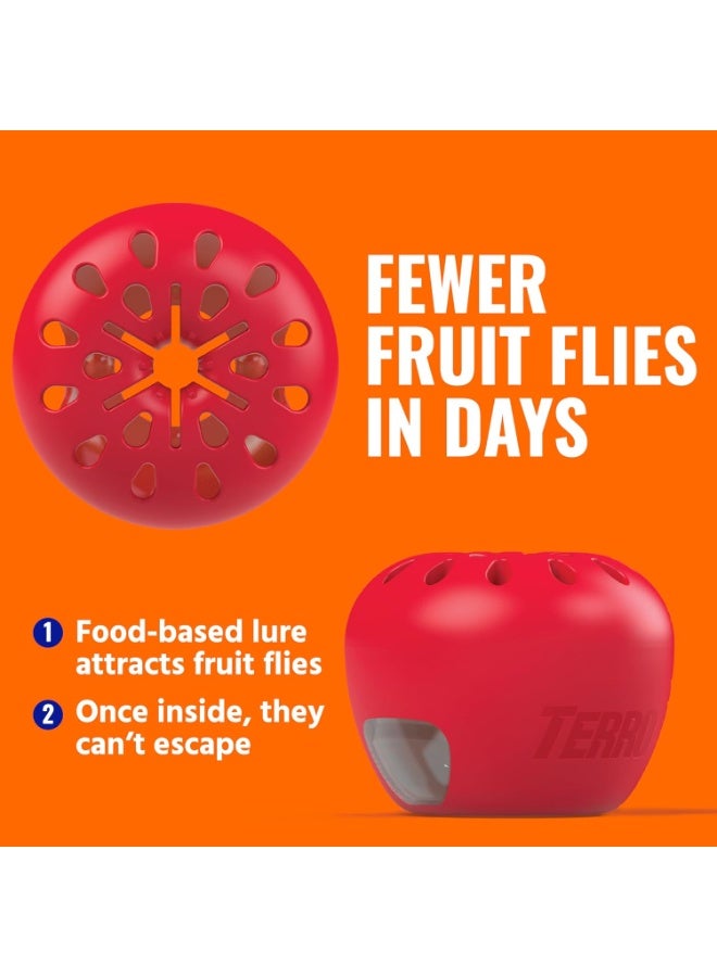 Terro فخ ذبابة الفاكهة تيررو 4 فخاخ + 180 يوم من إمدادات الطعم - Image 5