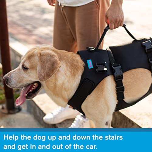 Yrenoer Dog Lift Harness, Rehabilitation Lifts Vest for Dogs, Support & Recovery Sling, Adjustable Breathable Lifting Straps for Old, Joint Injuries, Arthritis, Paralysis Dogs Walk (L, Black) - Image 5
