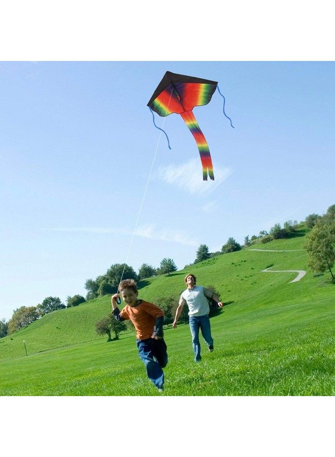 SINGARE 2 Pack Rainbow Delta Kite Kites For Kids Adults Easy To Fly Long Tail Huge Flyer Great Outdoor Activities Beach Games For Kids With Line And Handle - Image 5