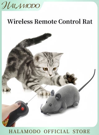Wireless Remote Control Rat Electronic Motion Remote Controlled Mouse Cat Toy Simulation Mouse Toy with Battery Powered for Cat Dog - pzsku/Z71D2A5944142E6CDFC24Z/45/_/1731306923/c1e58d66-0054-41c9-973e-15a2b5f2aeda