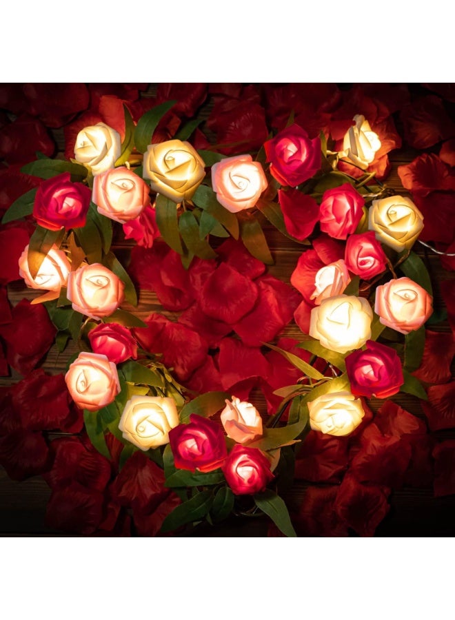 20pcs الرومانسية الورد زهرة سلسلة الأضواء، LED بطارية تعمل الأحمر الوردي الأبيض الورد الأضواء، 10Ft كرلاند لعيد الميلاد، الوردي الجنية أضواء (3m، 20 أضواء) لعيد الحب زفاف الديكور الداخلي في الهواء الطلق - Image 2