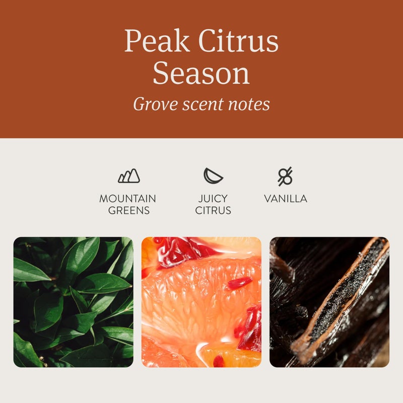 Drift Car Air Freshener - The Original Wood Air Freshener - Car Odor Eliminator - Long Lasting Scent - Auto Accessories - Metal Clip - Essential Oils - Clean Ingredients - Grove Scent Starter Kit - Image 3