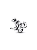 باندورا Silver