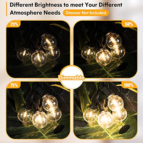 Brightever 100FT LED Outdoor String Lights Patio Light with 52 Shatterproof G40 Dimmable Globe Bulb, 2-Pack 50FT Waterproof Outside Hanging String Light for Christmas Backyard Porch Balcony Gazebo Party - Image 5