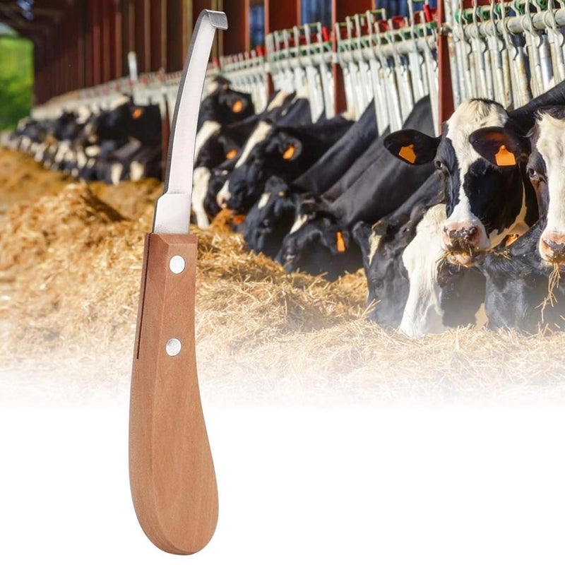 Chimertech Store Hoof Knife, Professional Trimming Tool, Ergonomic Handle, for Cow Horse Goat Hoof Care, Durable Construction - Image 2