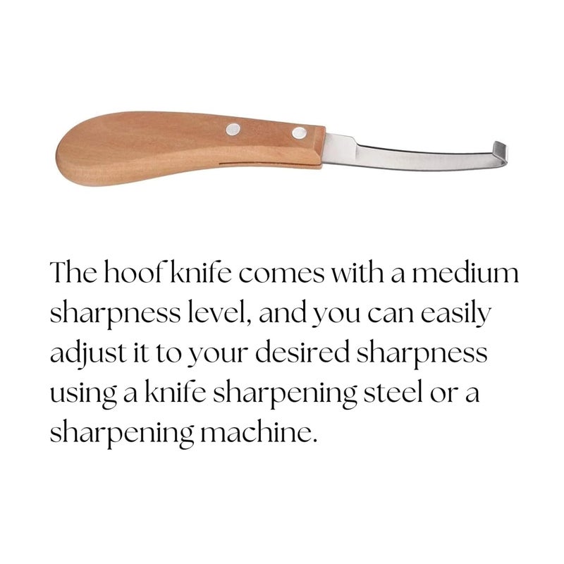 Chimertech Store Hoof Knife, Professional Trimming Tool, Ergonomic Handle, for Cow Horse Goat Hoof Care, Durable Construction - Image 3