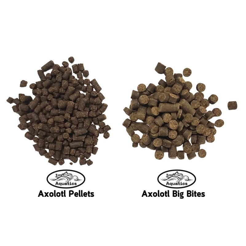 Invert Aquatics Axolotl Big Bites - Fast Sinking, Soft Pellet Daily Diet for Axolotls, Newts, Salamanders & Other Amphibians (9 oz (255g)) - Image 3