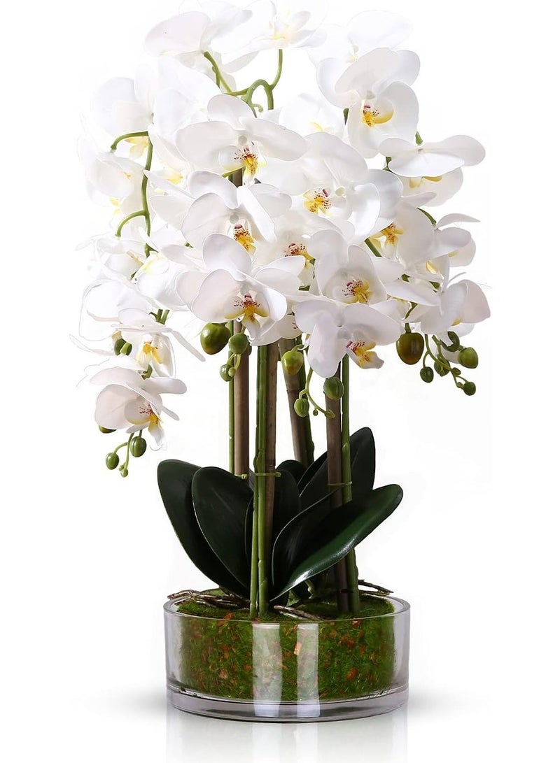 LATIFA Artificial Flowers Realistic White Orchid in Pot HIgh Quality Handmade Vase - Image 1
