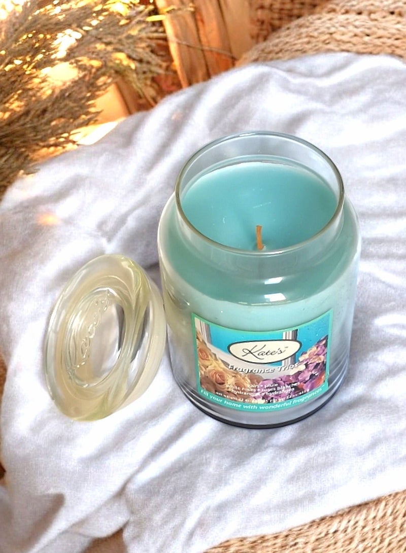 Kate's Craft Store Jar Candle with Lid 3 Scents ( Rain / Hydrangea / White Roses ) 623 g - Image 1
