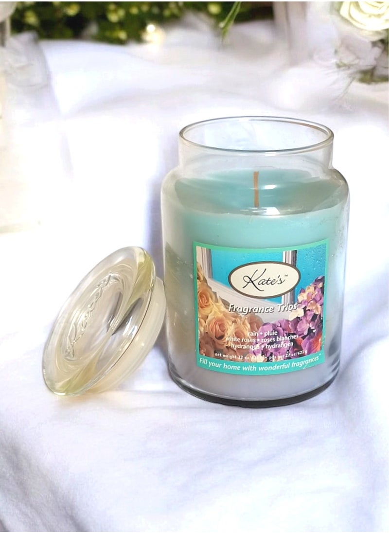 Kate's Craft Store Jar Candle with Lid 3 Scents ( Rain / Hydrangea / White Roses ) 623 g  - Image 1