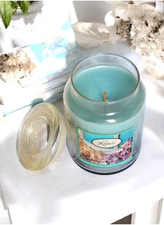 Jar Candle with Lid 3 Scents ( Rain / Hydrangea / White Roses ) 623 g - pzsku/Z71D90B82C3386221A85DZ/45/_/1730638505/85f26161-d270-4b69-8887-b47fdf863c34