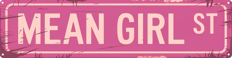 AWISZZZ Mean Girl St Funny Rustic Pink Wall Metal Tin Signs Decor 4x16 in - Image 1