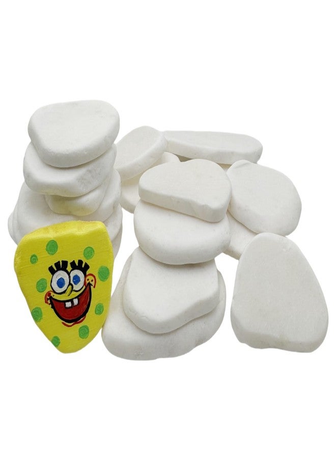 Lifetop 20PCS White Rocks for Painting, 2"-3" Smooth Natural Irregular DIY Rocks, Flat Surface Arts and Crafting Supplies - Image 1