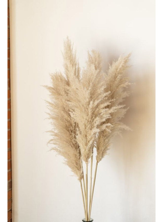 عشرون  قطعة من الريش الصناعي لون بيج للزينة - Image 1