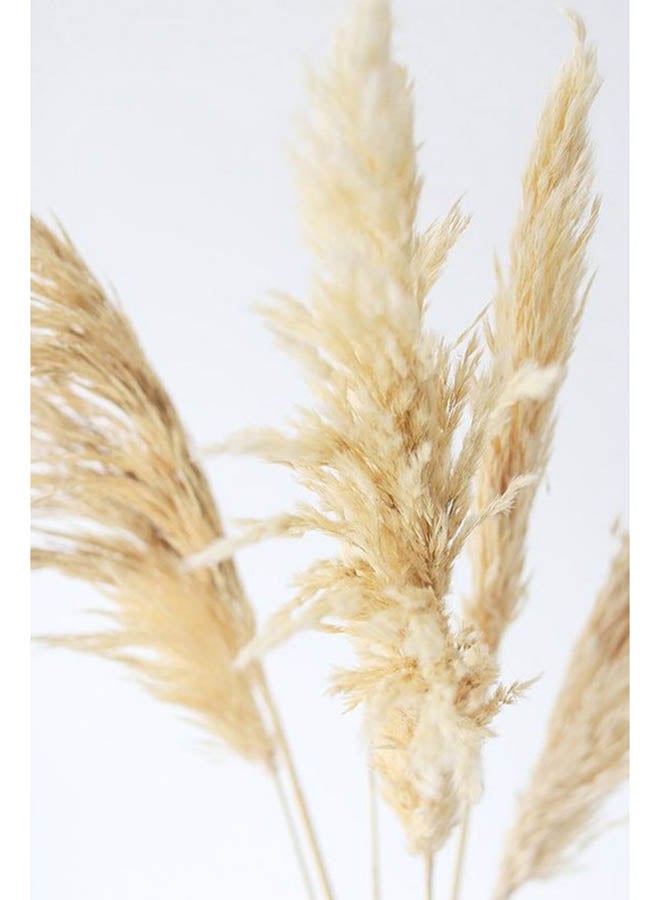 عشرون  قطعة من الريش الصناعي لون بيج للزينة - Image 2