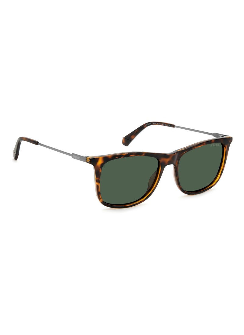 Polaroid - Men's UV Protection Sunglasses Pld 4145/S/X Havana 43.8 - Lens Size: 55 Mm - Image 1