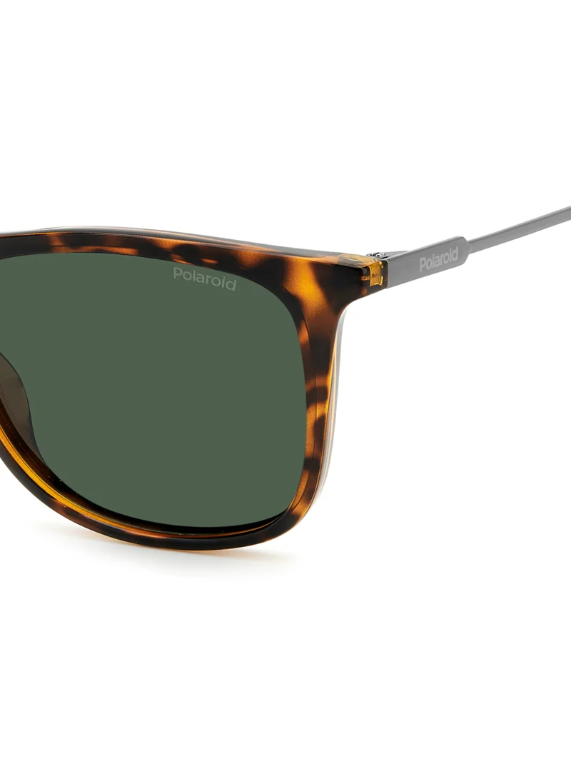 بولارويد Men's UV Protection Sunglasses Pld 4145/S/X Havana 43.8 - Lens Size: 55 Mm