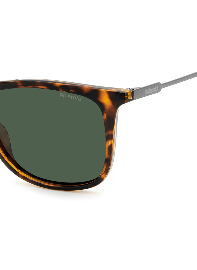 Polaroid - Men's UV Protection Sunglasses Pld 4145/S/X Havana 43.8 - Lens Size: 55 Mm - Image 1