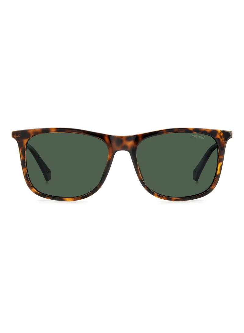 بولارويد Men's UV Protection Sunglasses Pld 4145/S/X Havana 43.8 - Lens Size: 55 Mm
