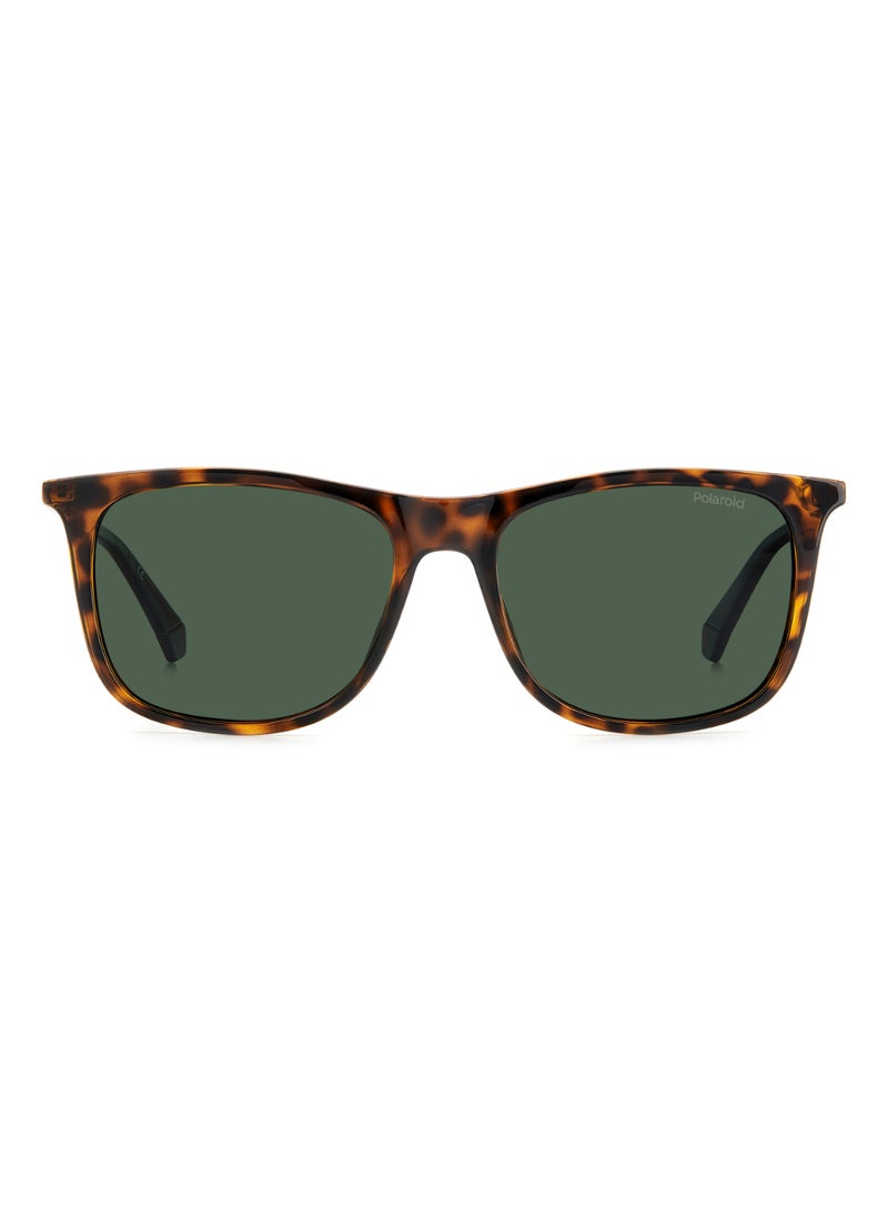 Polaroid - Men's UV Protection Sunglasses Pld 4145/S/X Havana 43.8 - Lens Size: 55 Mm - Image 1