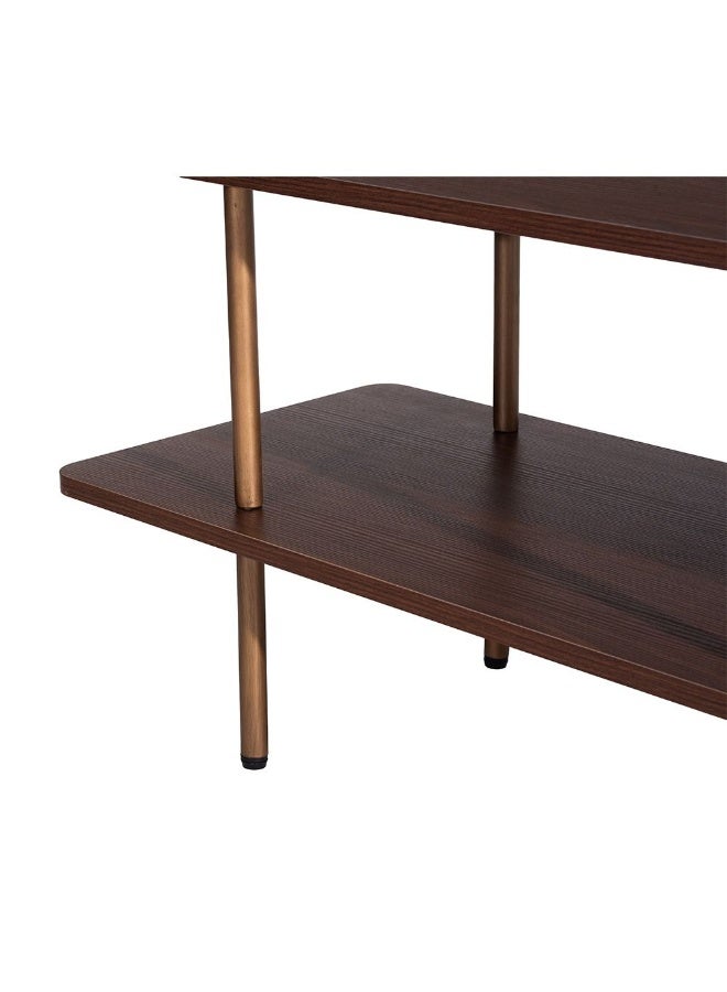 DANUBE HOME Belosie Sofa Table | Multifunctional Living Room Table | Space Saving Hallway Table | Modern Design Console Table Furniture for Narrow Doorway L140xW40xH50cm - Brown/Brushed Brass - Image 4