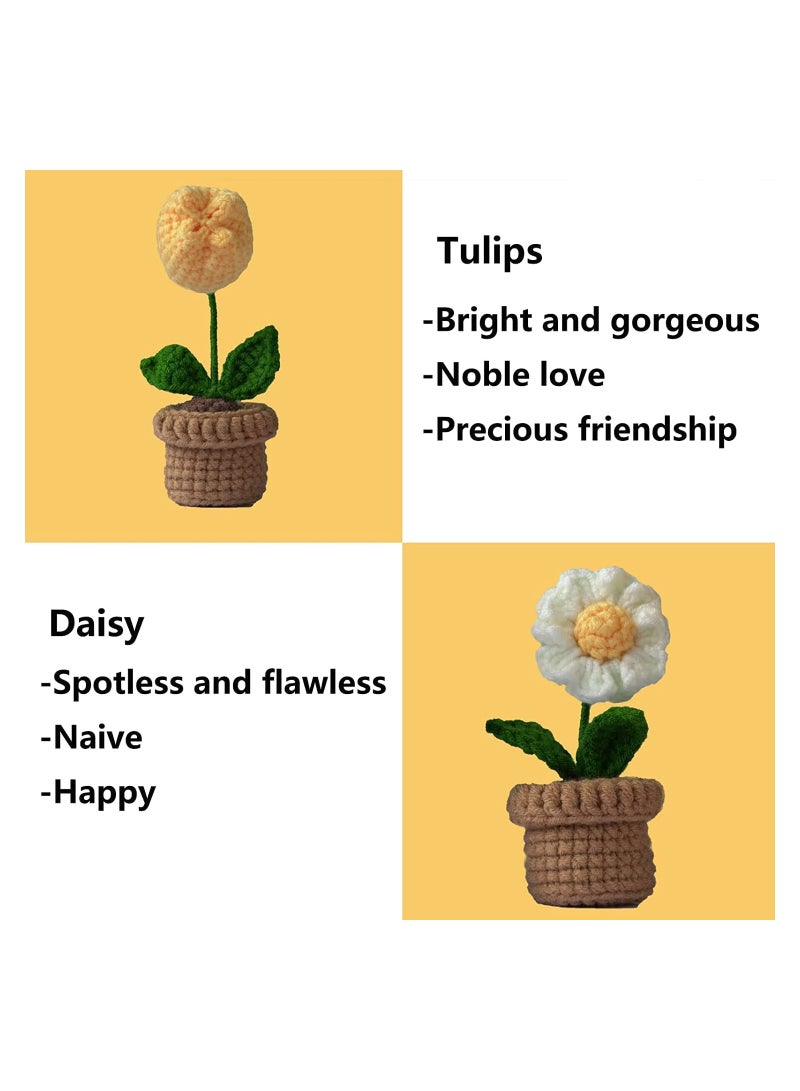 SYOSI Crochet Kit for Beginners, 6 Pcs Potted Flowers Kit for Beginers and Experts, Detailed Course Materials for Complete Beginers with Step-by-Step Video Tutorials - Image 5