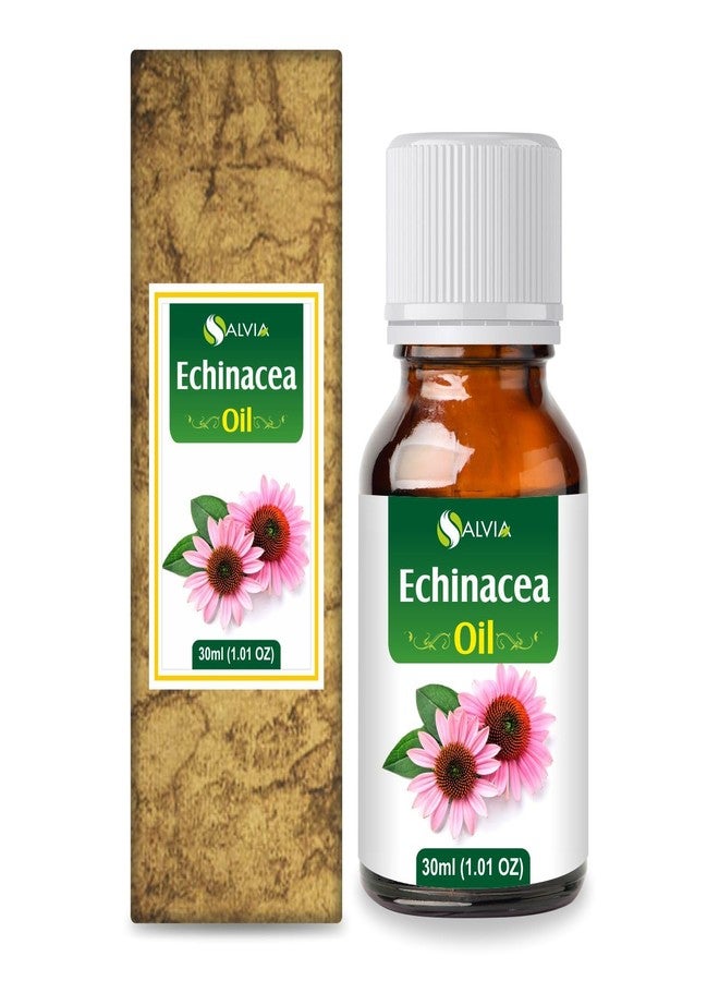 Salvia Echinacea Oil Pure and Natural Echinacea Oil Extract | Hair Care (Clean, Smooth and Silky Hair) | Skin Care (Hydrate, Nourish, Protect Skin) - 30 ML echinacea_30ml - Image 1