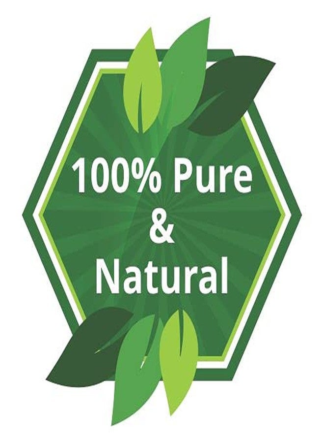 Salvia Echinacea Oil Pure and Natural Echinacea Oil Extract | Hair Care (Clean, Smooth and Silky Hair) | Skin Care (Hydrate, Nourish, Protect Skin) - 30 ML echinacea_30ml - Image 4