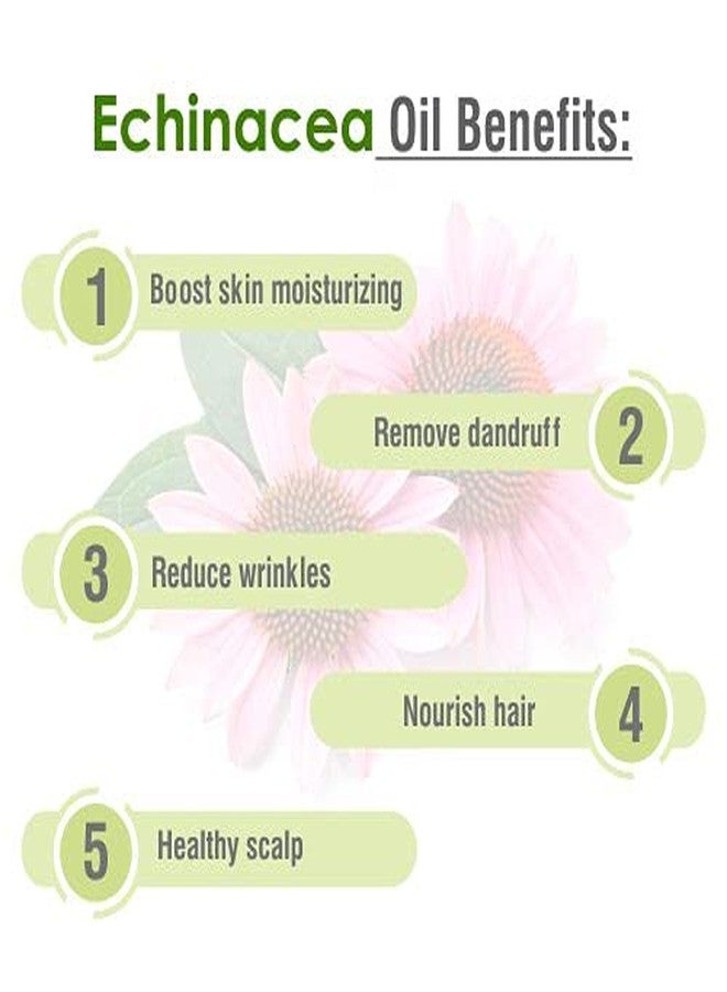 Salvia Echinacea Oil Pure and Natural Echinacea Oil Extract | Hair Care (Clean, Smooth and Silky Hair) | Skin Care (Hydrate, Nourish, Protect Skin) - 30 ML echinacea_30ml - Image 5