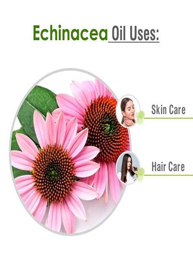 Salvia Echinacea Oil Pure and Natural Echinacea Oil Extract | Hair Care (Clean, Smooth and Silky Hair) | Skin Care (Hydrate, Nourish, Protect Skin) - 30 ML echinacea_30ml - Image 3