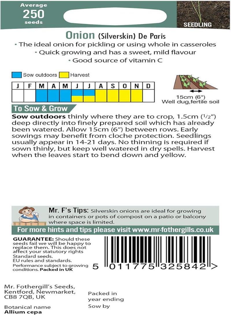 GGOOT Seeds Ltd Onion De Paris (Silverskin) Vegetable Seeds, White - Image 2