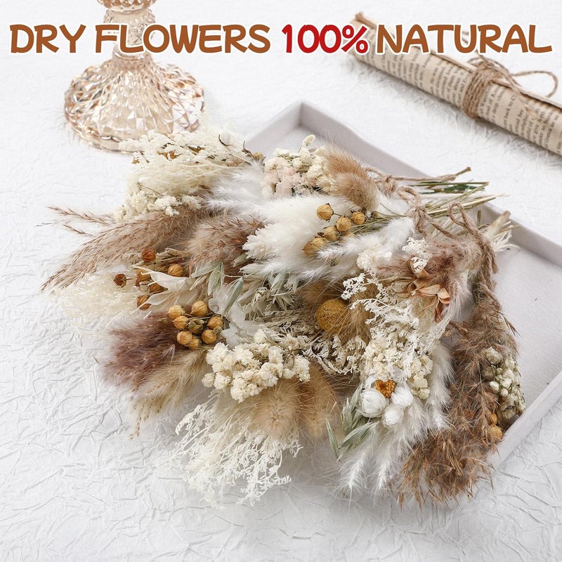 MGXX 12/24 Pack Dried Flowers for Vase Various Mini Bouquet Dried Small Wildflowers Natural Real Flowers Bulk for Crafts DIY Wedding Decor (12, Plain Colour) - Image 3